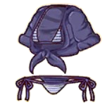 equipment_110063.png